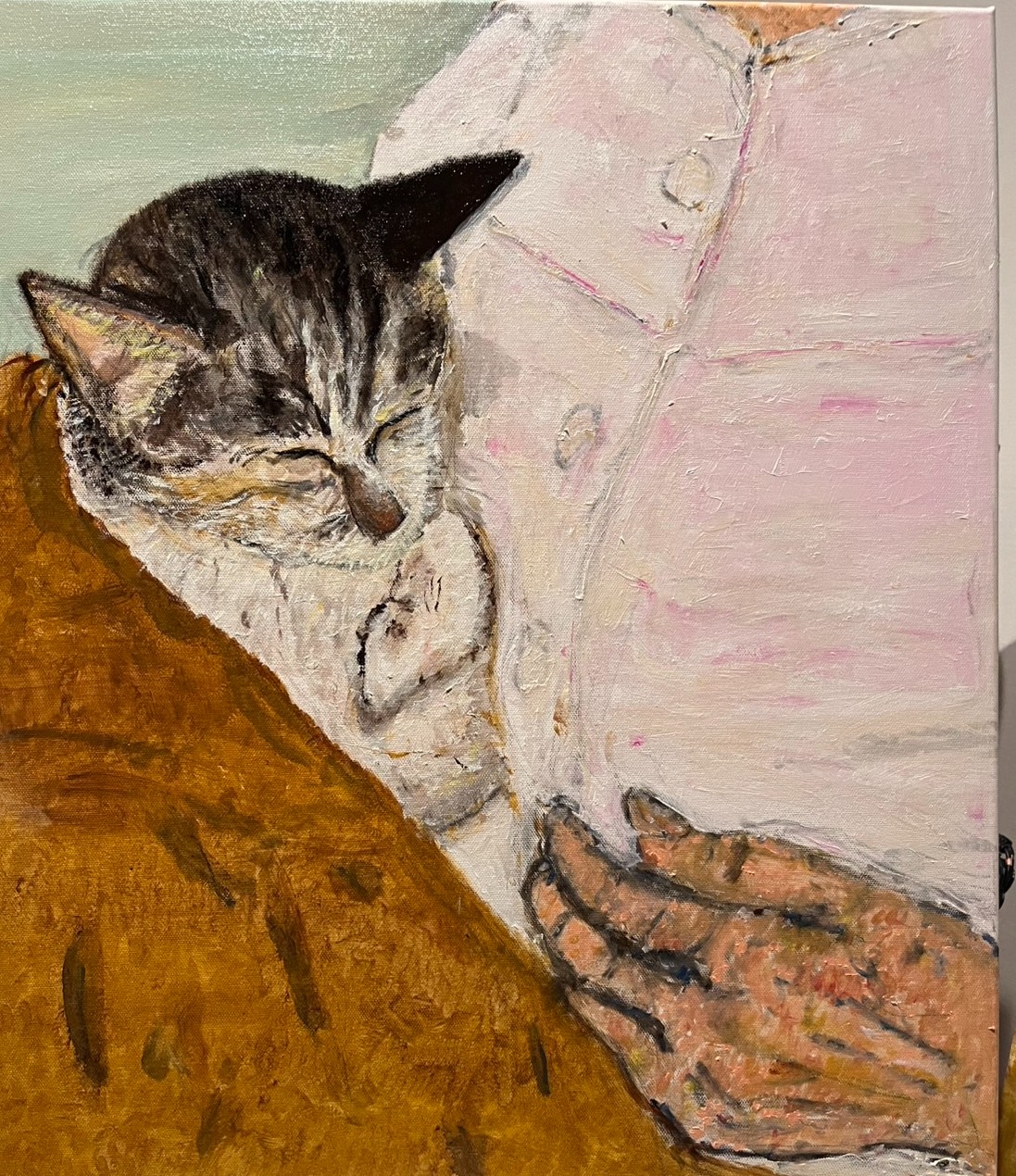 眠る猫